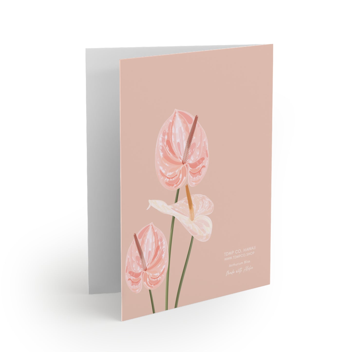 Floral Anthurium Greeting Cards — Pack of 8/16/24, Soft Pink Blank Note Cards
