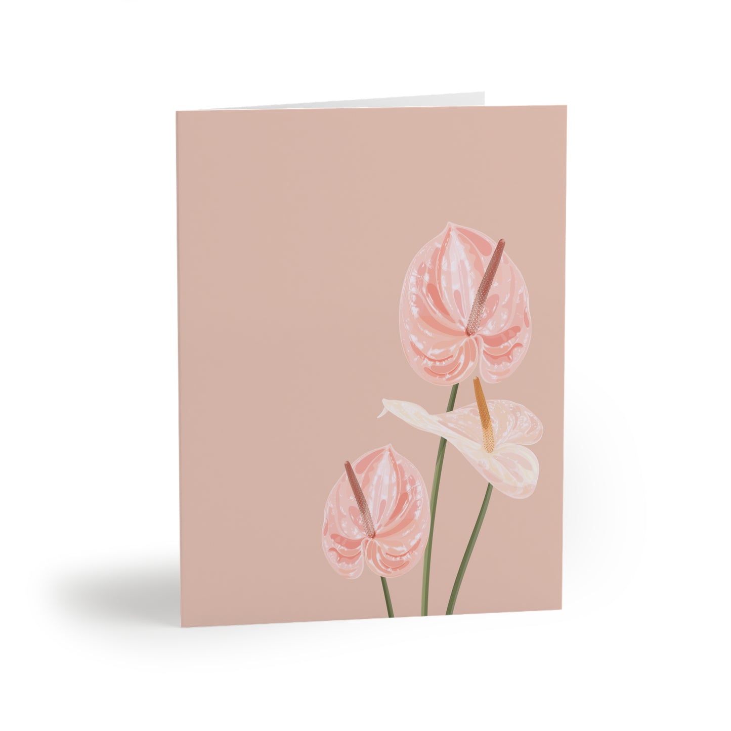 Floral Anthurium Greeting Cards — Pack of 8/16/24, Soft Pink Blank Note Cards